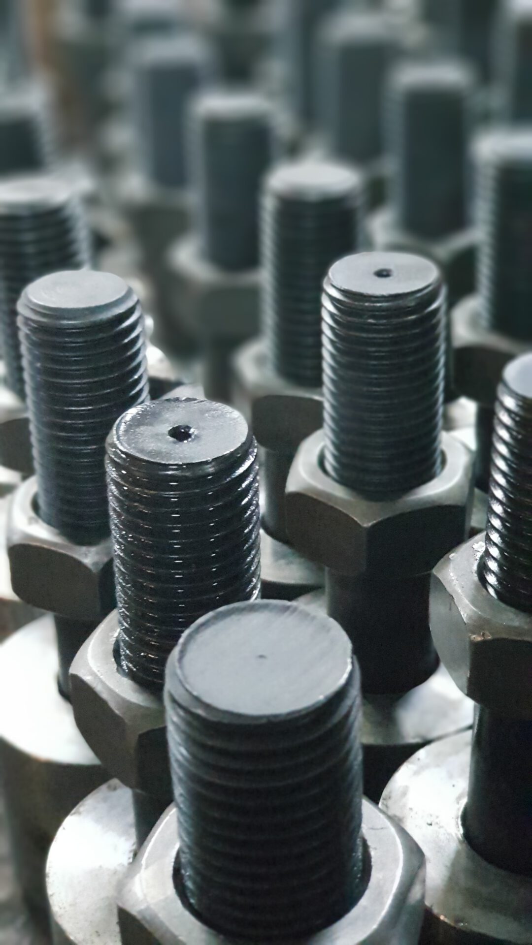 693fd70793509fb5246abedf582e5985